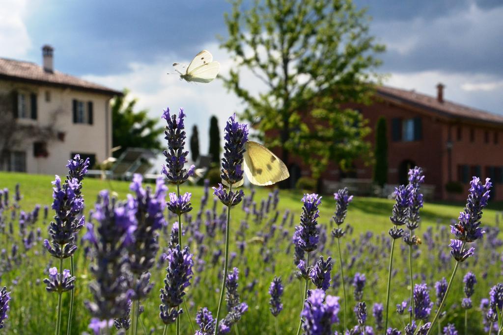 B&B Ca Bianca Dell'Abbadessa San Lazzaro di Savena Eksteriør bilde