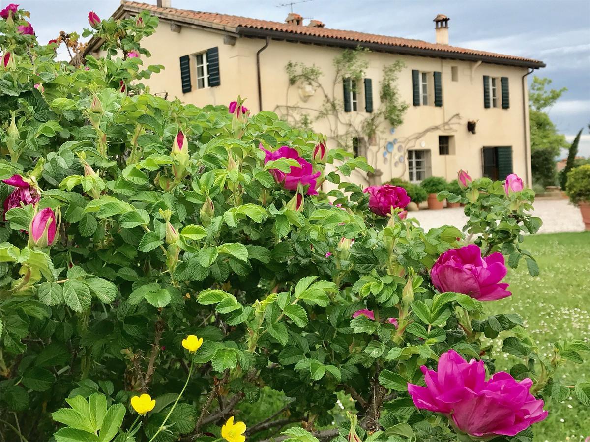 B&B Ca Bianca Dell'Abbadessa San Lazzaro di Savena Eksteriør bilde